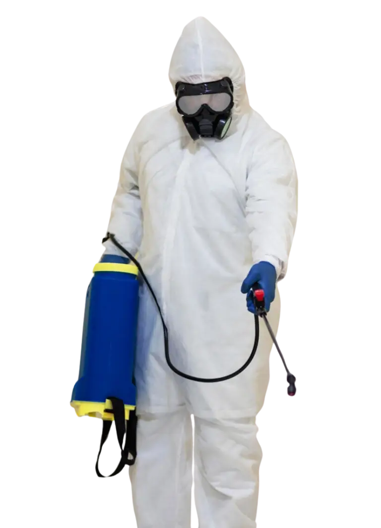Pest Control