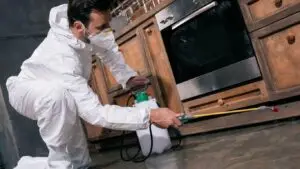 Pest-free-kitchen