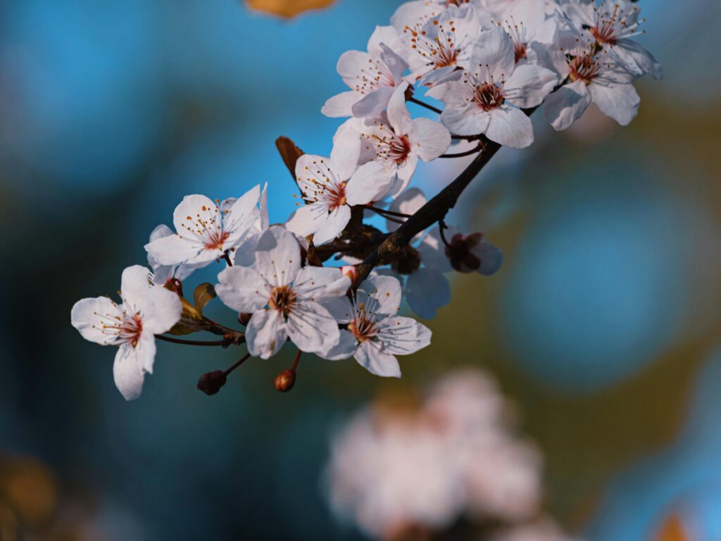 How to Pest-Proof Your Home This Spring: 1 Spring Pest Prevention Tips: Room-by-Room Guide | Tom Wildlife & Pest Control